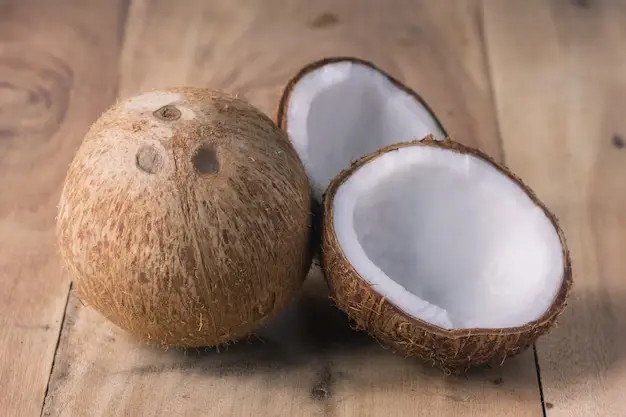 COCO SECO