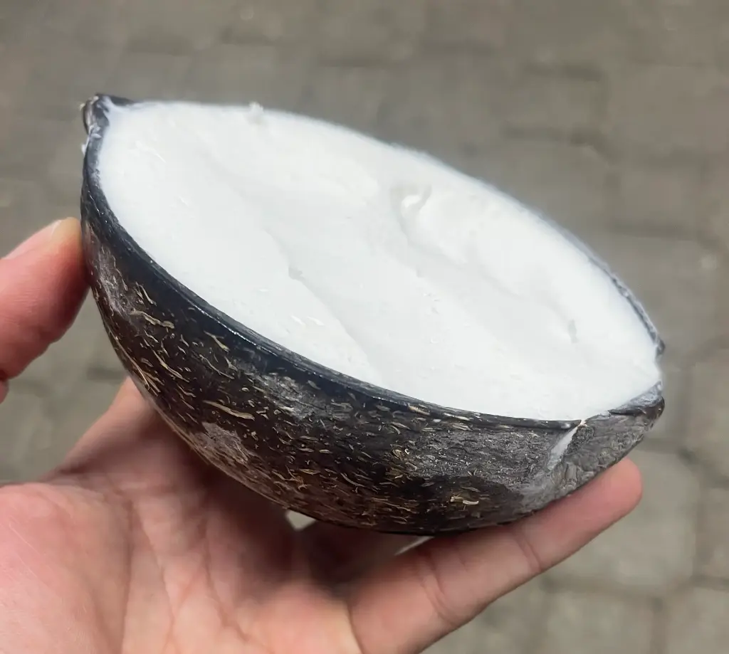 Helados artesanales (Coco)