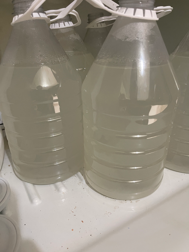 Agua de coco seco