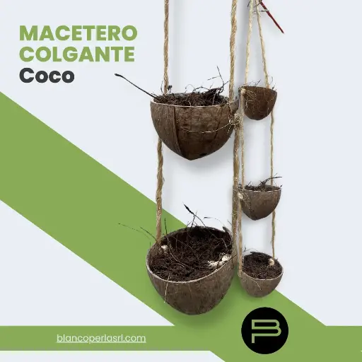 Macetero Colgante De Coco pulido 
