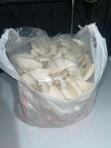 Masa de coco seco
