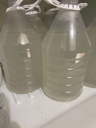 Agua de coco seco